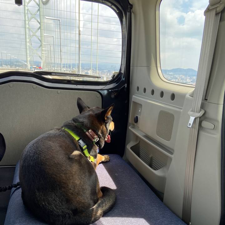 5ee115aa 8a97 473a 8801 3e7ae9309e08 1630421861820