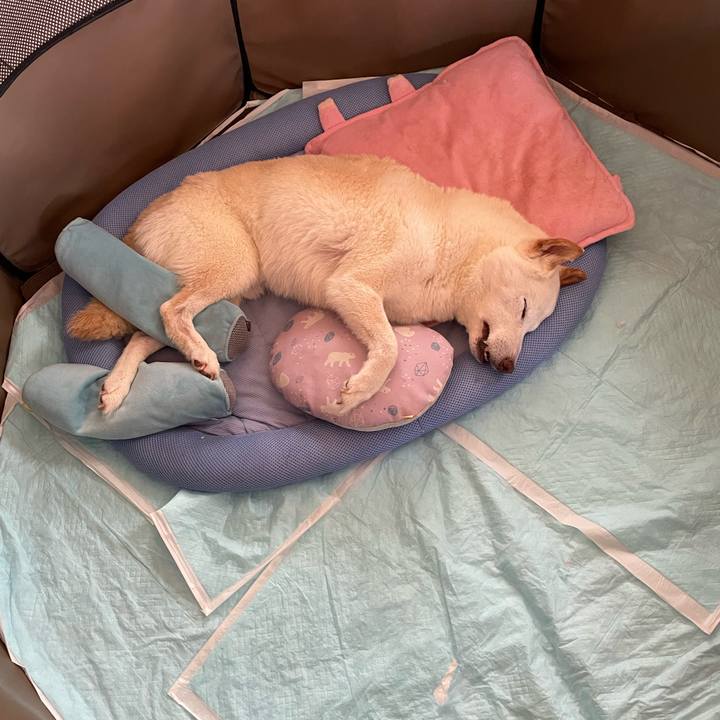 5ee12e29 5839 4b7b 8ce4 d6fc79ceb3e4 1657158150549