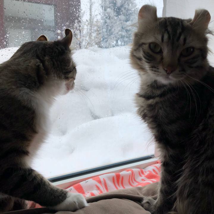 5ee19c42 6cea 42b0 8b72 bd28106fc610 1519881774215