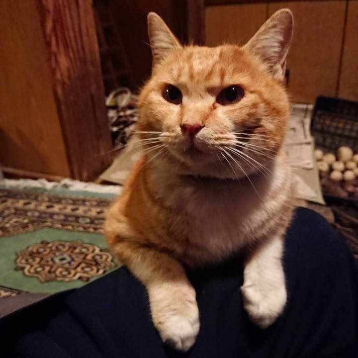 5ee1b19a 3103 4123 b2ea 27718fa22205 1581325210812