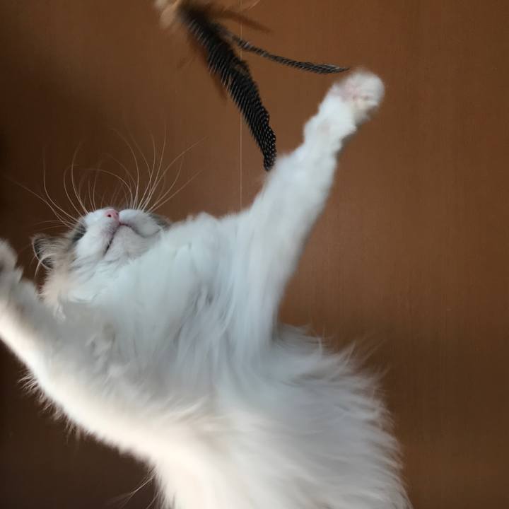 5ee1b2c3 e249 4349 bd7c 56cdfc3776e0 1596011313031