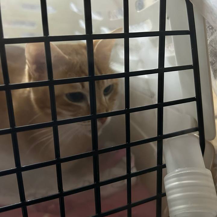 5ee1b8f1 18d6 4c95 958e 959784947eca 1677760876492