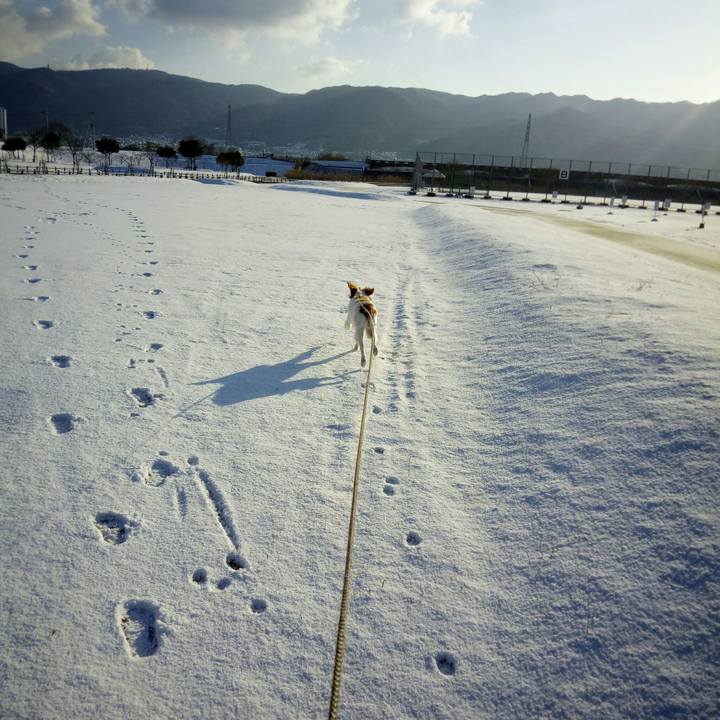 5ee1c0bf 1f65 40c9 9a7f dfa032a08bc9 1518494006877