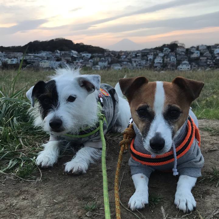 5ee1dc87 1582 45ec a5aa 5ac7d37adae7 1544169776189