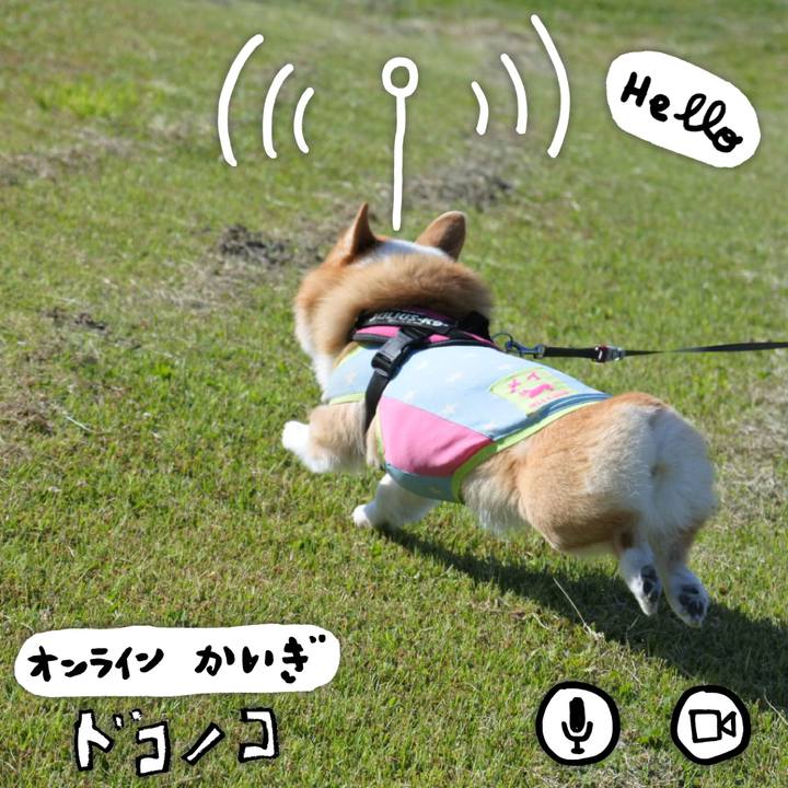 5ee2291e 618b 4d7e af37 7502e5331c72 1590845881409