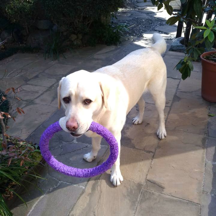 5ee25c5c e3d7 4e0b bf48 c39e01f31139 1612929728050