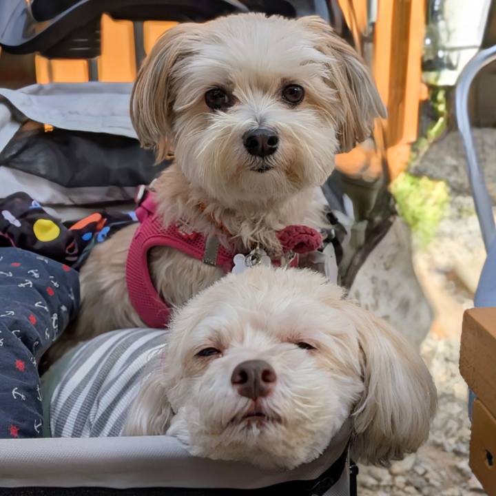 5ee28bc1 73aa 4476 a151 cec169fb0226 1763301836679