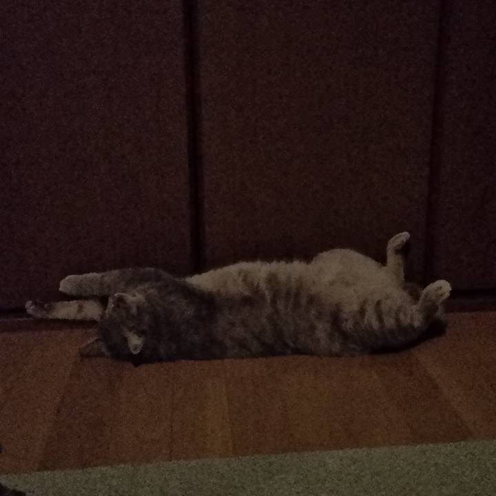 5ee299ad 7075 4df3 9887 bef66fea8b0a 1597033694556