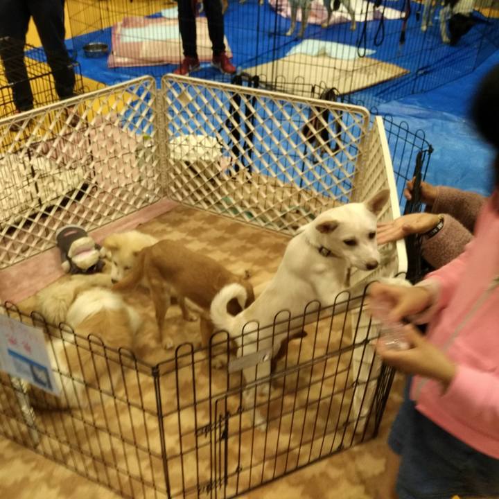 5ee2cc79 d8f3 4235 95dd 0001d5f9ba1a 1542511996643