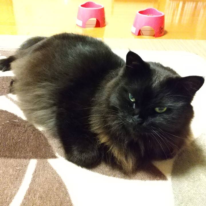 5ee2d8f0 8e31 4557 9284 978373041e49 1580731193988