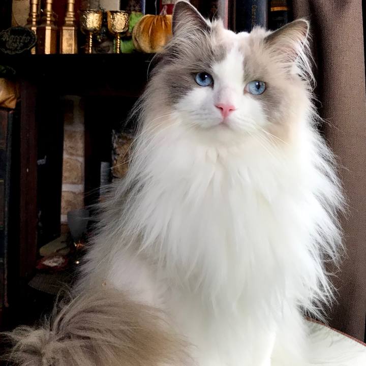 5ee315b7 de04 4215 bb4f b264d349a7cb 1590996804427