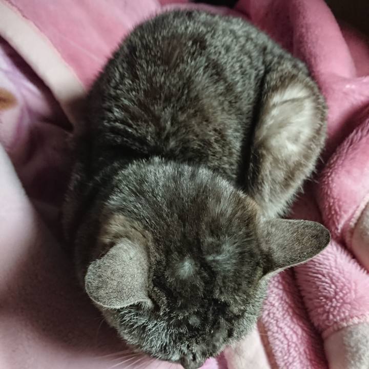 5ee38fe0 c389 4a52 81a1 953ff8be15cb 1560423781420