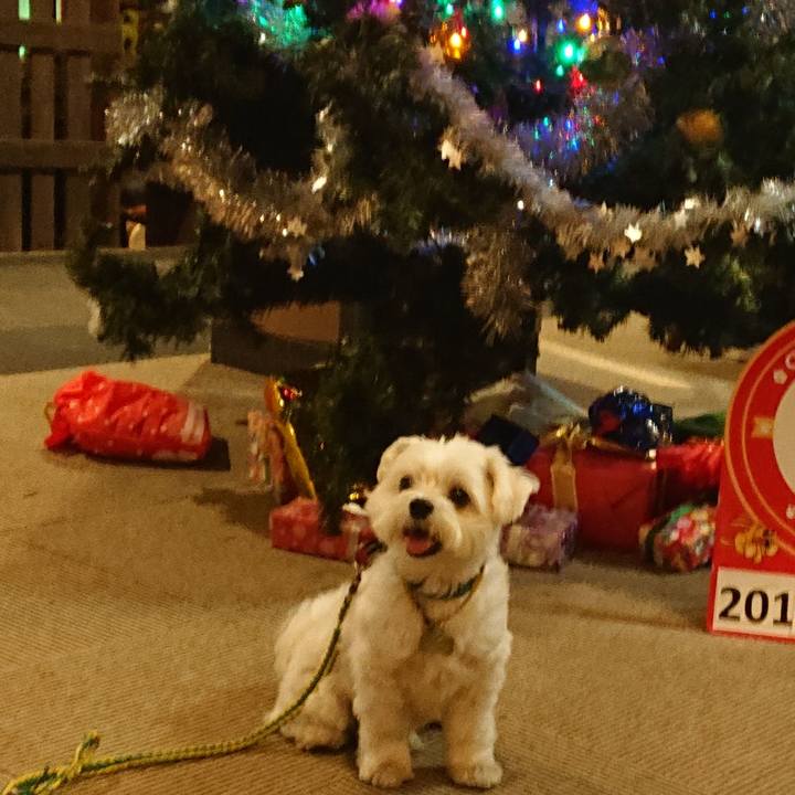 5ee3ea3f b481 4d2c 80bc e22b5204a119 1542508394050