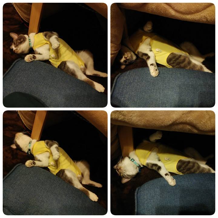 5ee435ac 82cf 4606 a031 85a547be6155 1584972958411