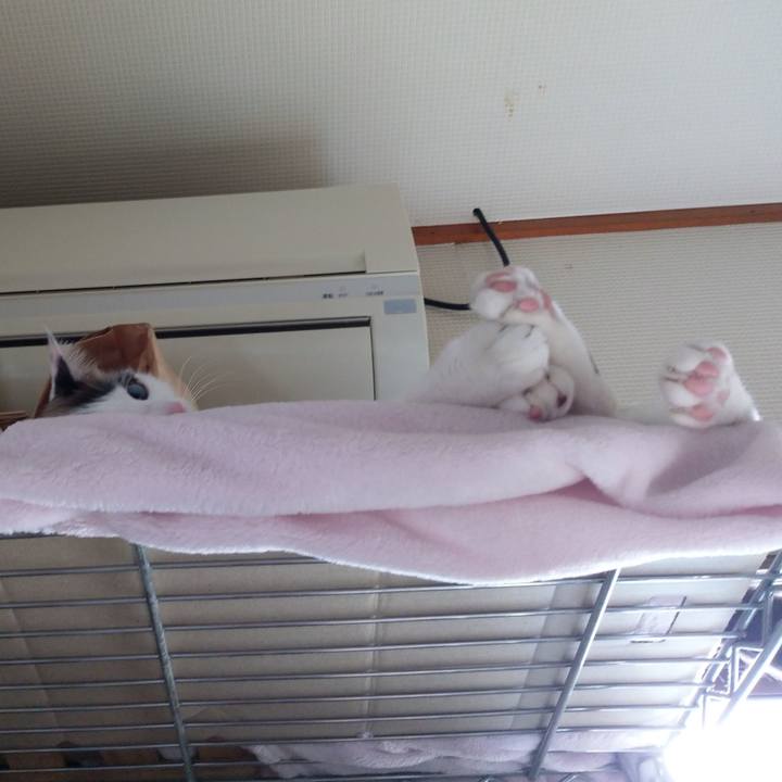 5ee45d2f c0a0 4392 8064 32e6cfb1ac59 1548468575748