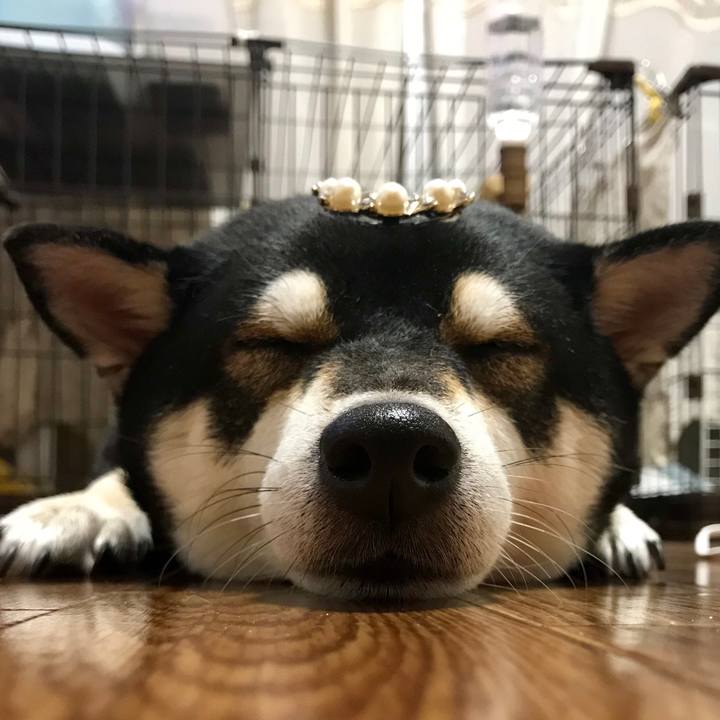 5ee465ff 1938 4867 af31 a6a4f3d6295c 1510486795790