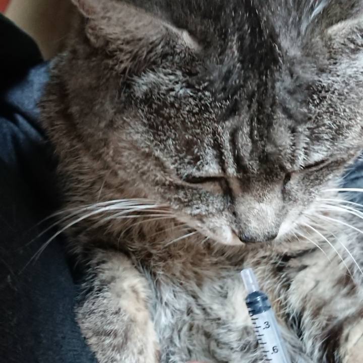 5ee49011 4049 4ea5 9361 586f19e3813d 1583186356851