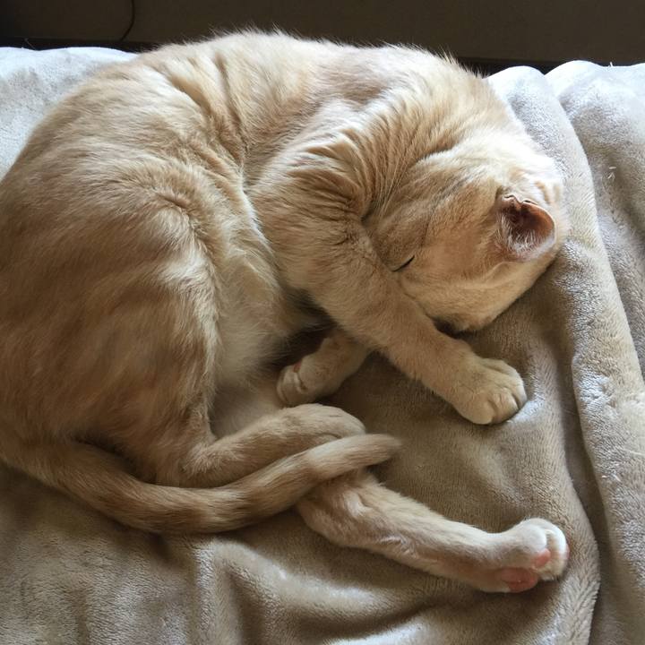 5ee4f32d 64fa 45d0 8b77 90fbee0017e6 1560834026835