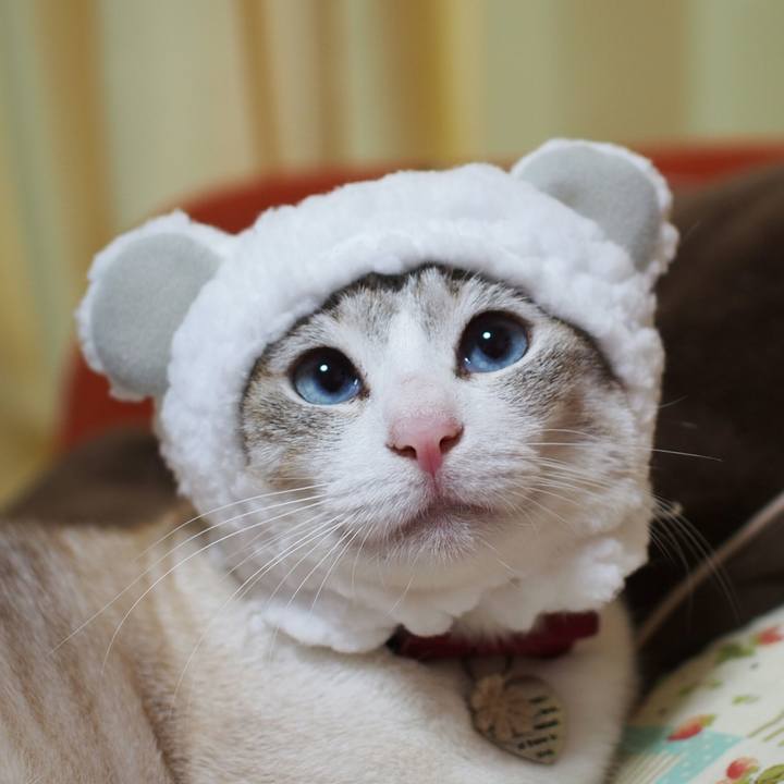 5ee5155a f00d 4f42 9f24 ed48582cc1ba 1526301358605