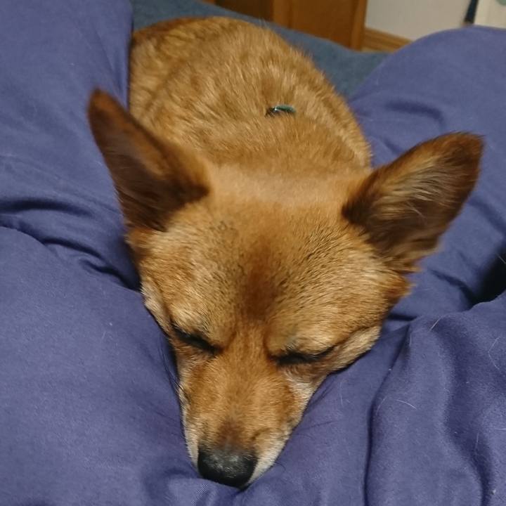 5ee52ad1 04c5 4c74 a133 4fcbb0d30f7f 1548195934332