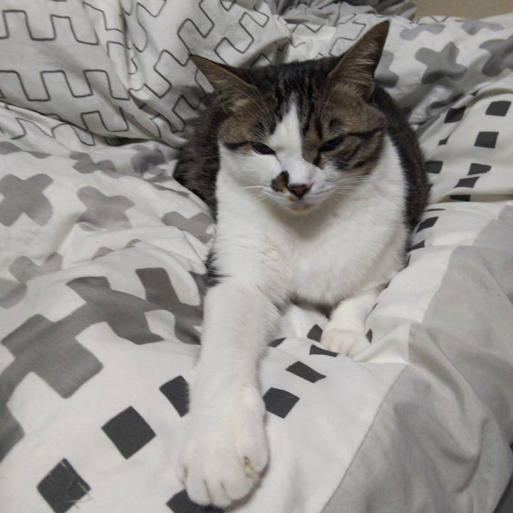 5ee52d32 fa8d 4f64 bf8a 6ced40cef2dd 1652048943933