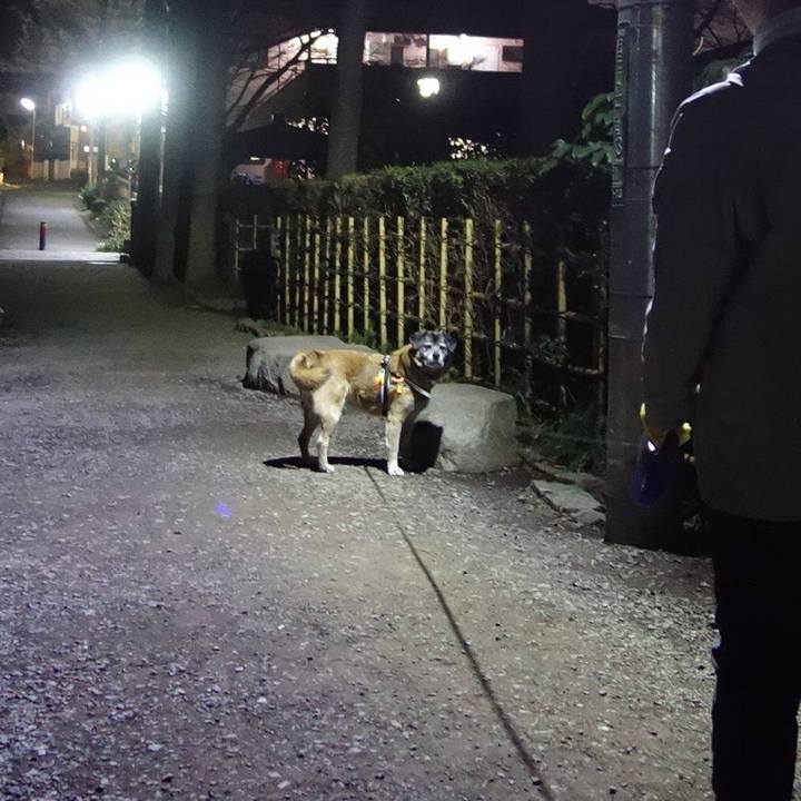 5ee54351 e6a7 4934 9e45 5a60ad1848ae 1629158902650