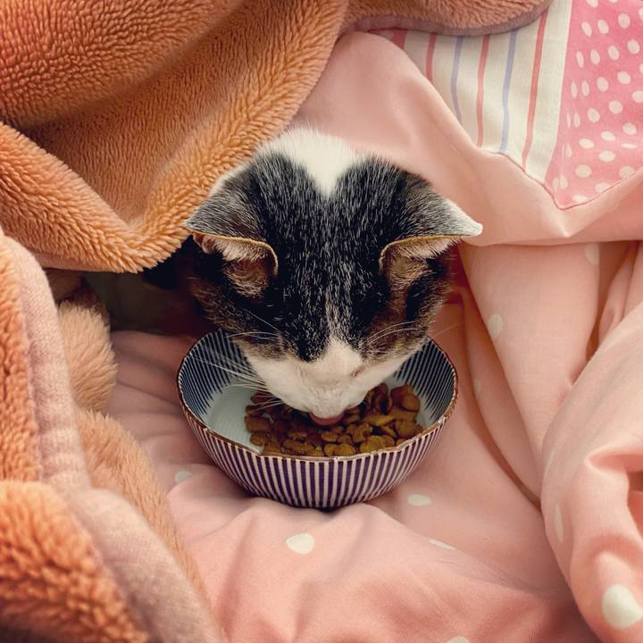 5ee54f9c 6d59 49f5 a21b 0a7c1e635e4a 1614227235138