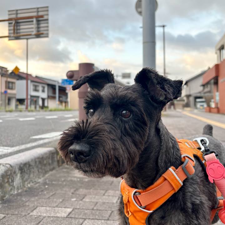 5ee58ed8 5bce 450e a40c fdb72b4c8a0e 1759014408810