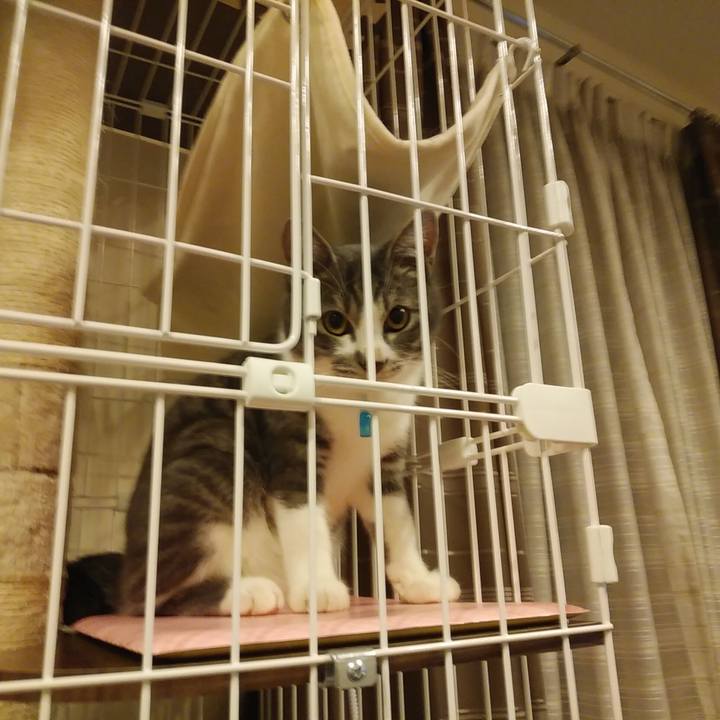 5ee5abff 2ef1 456e b92d 160dbae720a6 1573815685379