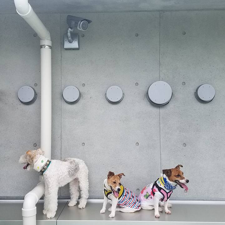 5ee5cf0c cf51 4264 b2a5 974a83201880 1561818506947