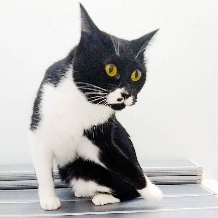 5ee5d01d d81b 42dd b6a8 4b5e8d2409c0 1508474171575