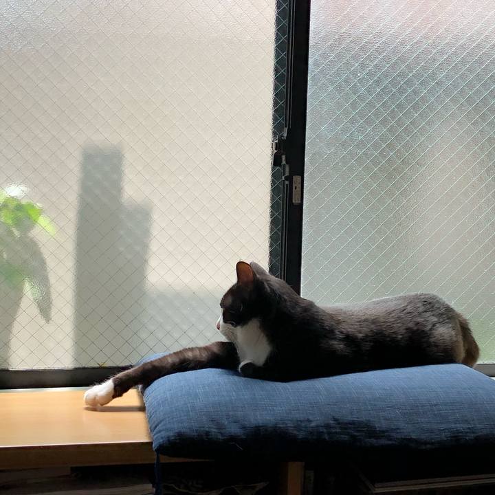 5ee5d46f 2d28 4d1e 8bdb 23d70aa16d8e 1560418136739