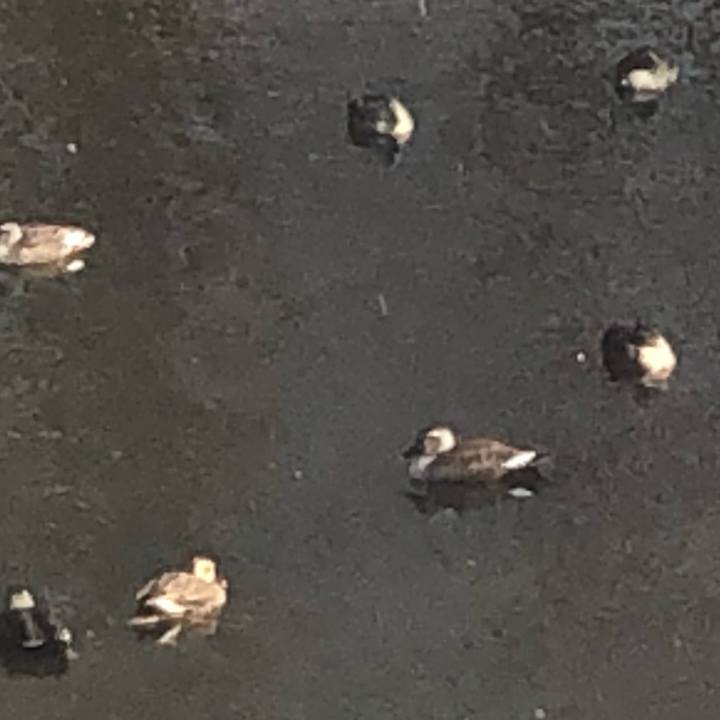 5ee62de3 5642 485e b4fe 6ccd2c98edfb 1612078022327