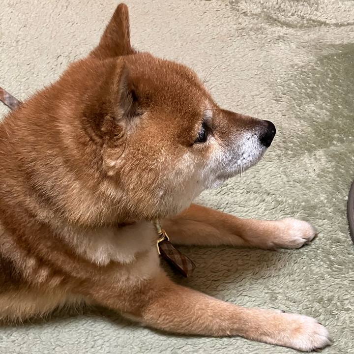 5ee64a12 6ca9 4cf3 ba11 ab1b1d12a8ad 1769510079087