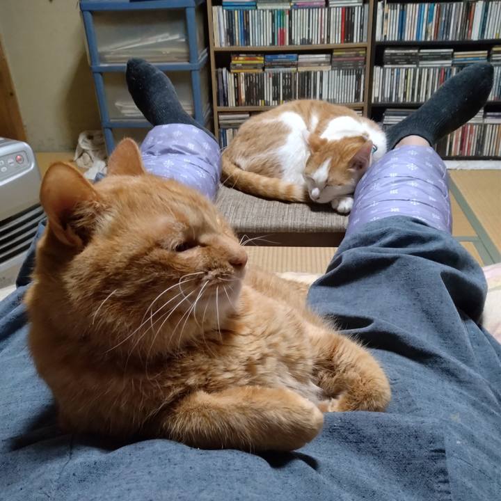 5ee6606e 2935 4a16 92bc 0f6d0d8ec8b9 1735299193721