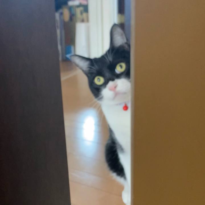 5ee66b76 8f3c 49bb 883c d5aca301e783 1672363842633