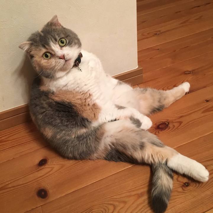 5ee6772d c662 4db7 a330 a22f5b8e83ea 1554717697775