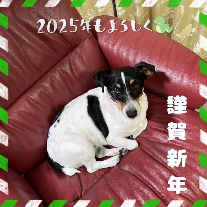 5ee6accf 40c8 4c9e 8dfd 506f2ecdc305 1735741220889