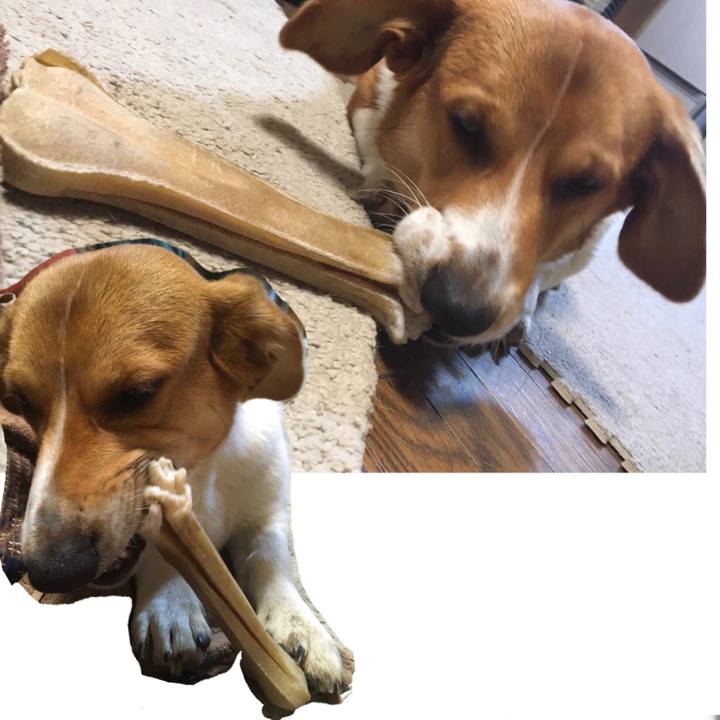 5ee70719 fef4 42c3 9e83 994c915b47a6 1610156638483