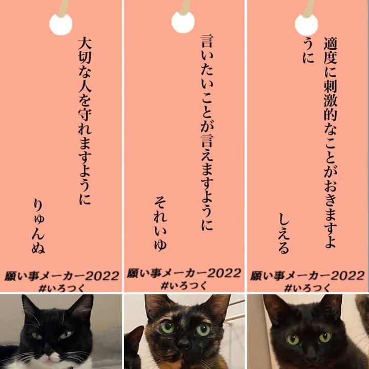 5ee715c5 3669 4a6e ba52 a35e0a57f947 1657270919547