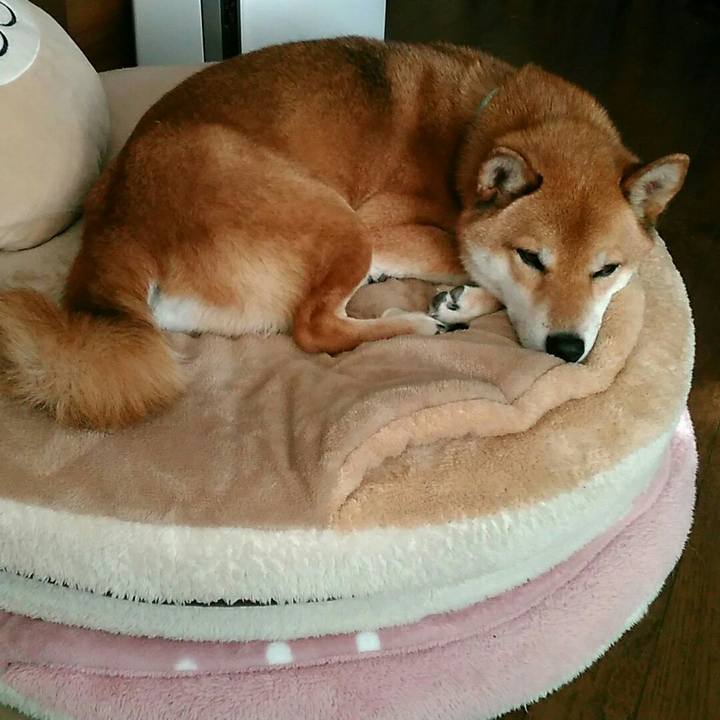 5ee7405c 7ab3 41c1 b6ac b95f4bbbf21b 1546000178990