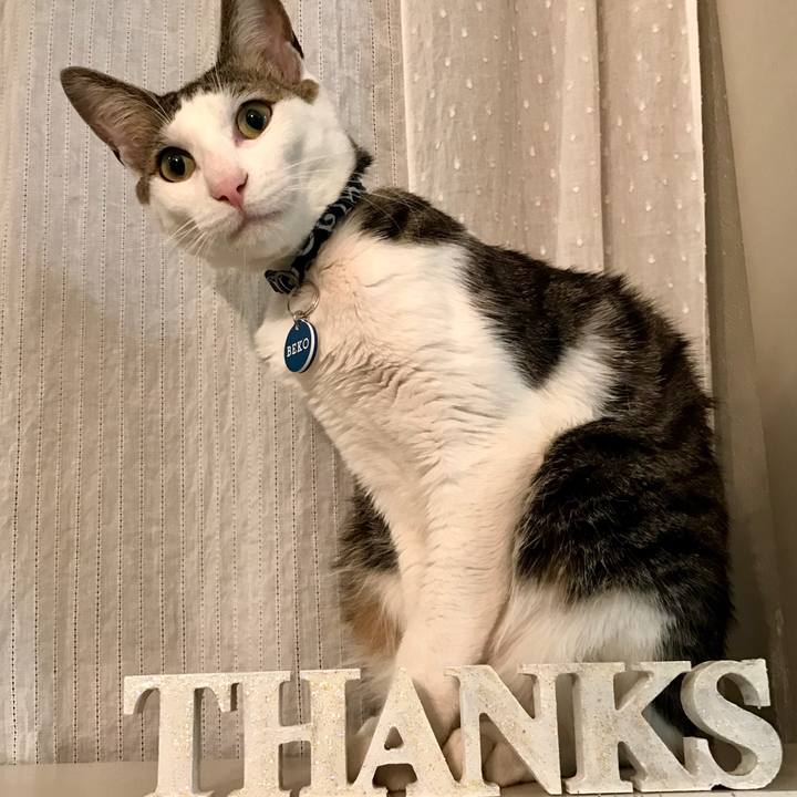 5ee77c89 858b 4a6f 891d aa0c0dffb822 1523800767951