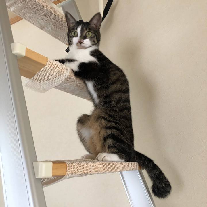 5ee78466 2a02 4270 9f68 a897da7b5227 1629405785139