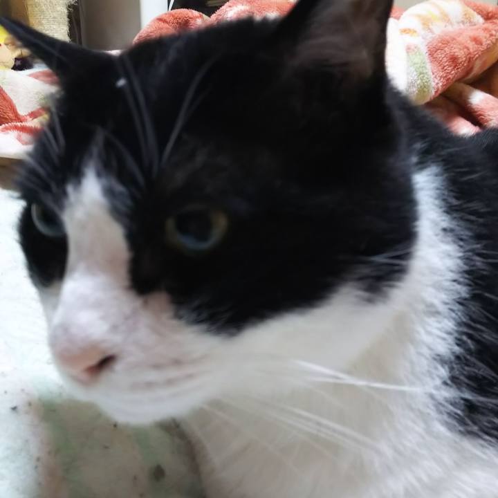 5ee7ecc6 53a3 437d 9d33 3c7a57057e12 1559166858069