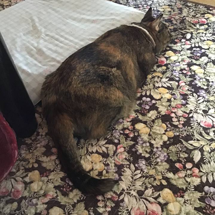 5ee7f437 49c1 494a 8029 49ddcd119ba3 1718448268777