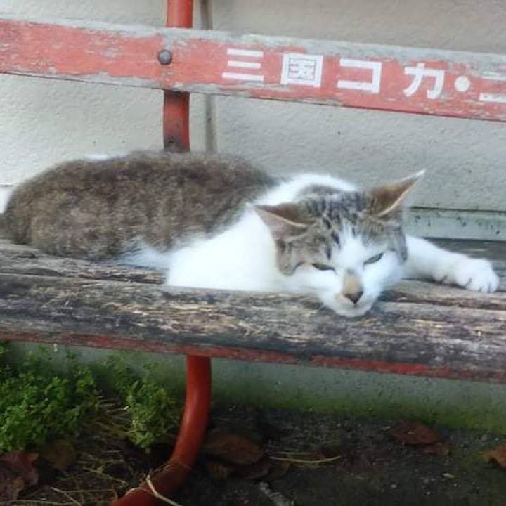 5ee83753 2e15 4e86 a2ff c3edf6260962 1626748402591