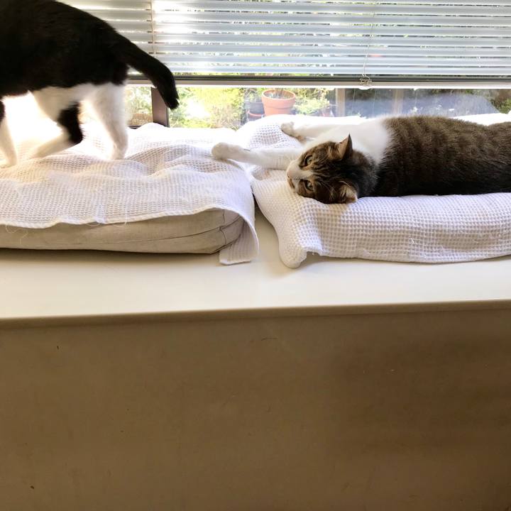 5ee85c0c 6001 4069 98d2 d879ab4c5e85 1569462608694