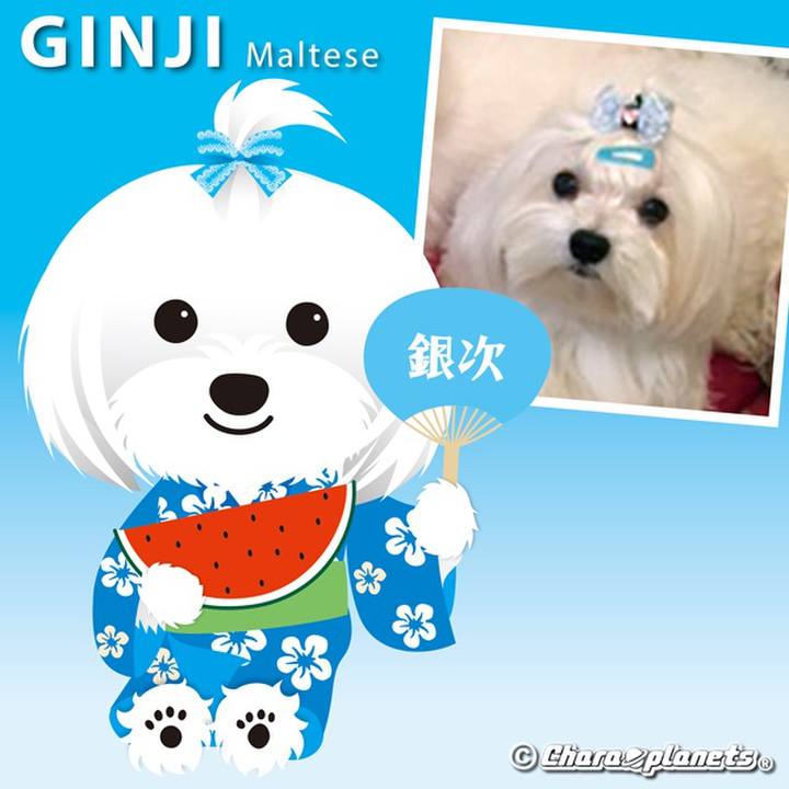 5ee889c0 1ed3 4e3c b23a ba0069c51c46 1561080586051