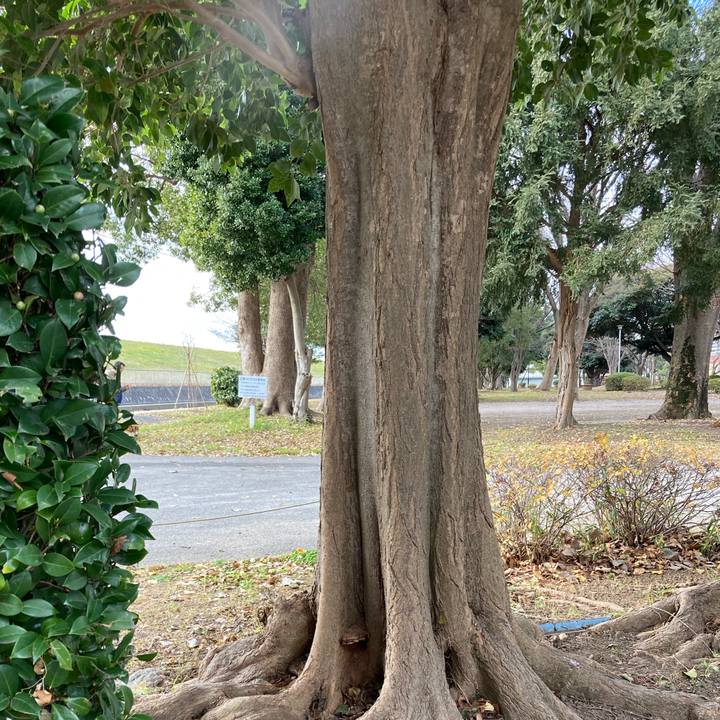 5ee8de5f 1afb 45fa a27f c3e256b7f044 1672489499797