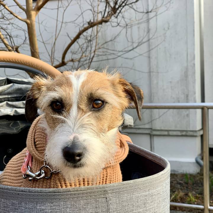 5ee8e4b3 ab13 417f a098 c729b954e2ba 1616850956021